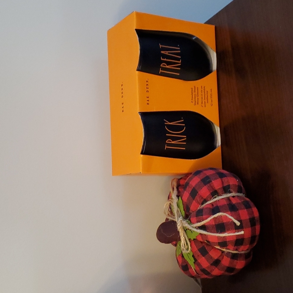 Rae Dunn Set of 2 Insulated Stainless Steel Wine Glasses Trick Treat